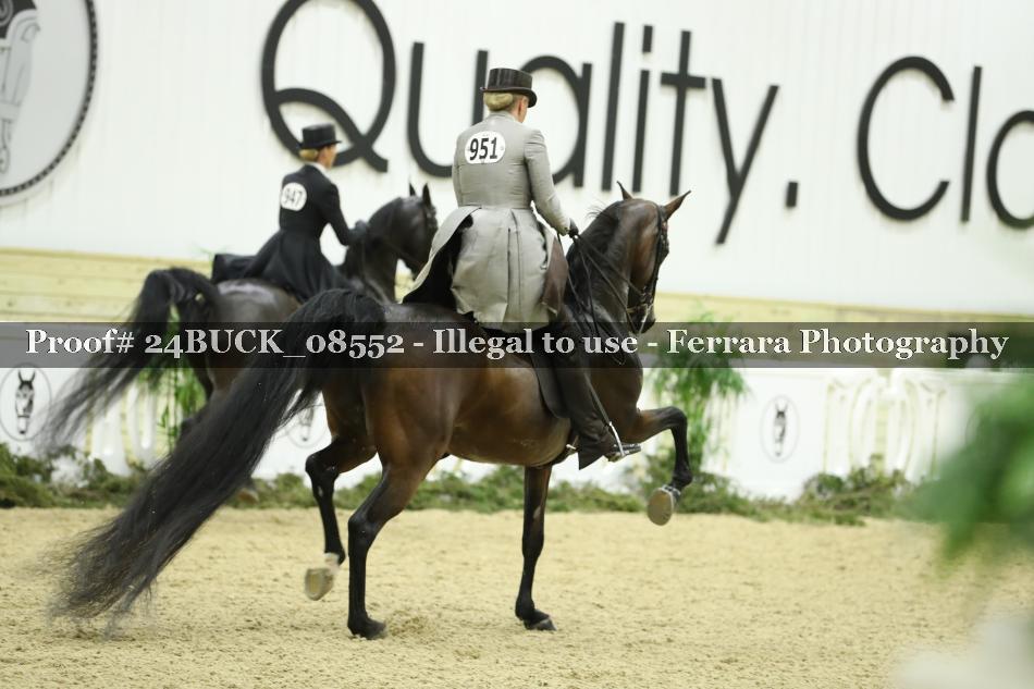 Proof 24BUCK_08552
