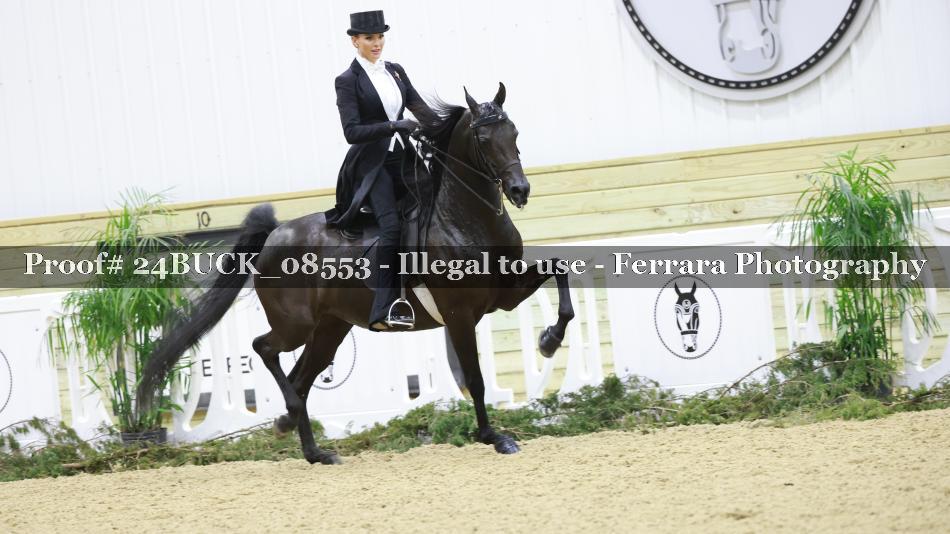 Proof 24BUCK_08553