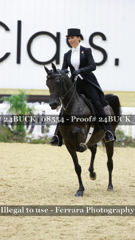 Proof 24BUCK_08554