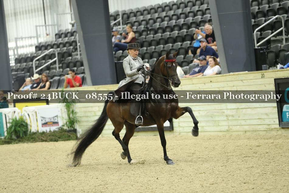 Proof 24BUCK_08555