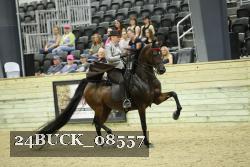 24BUCK_08557 proof