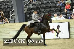 24BUCK_08558 proof