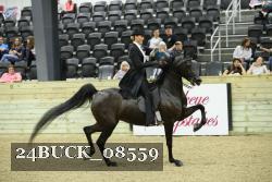 24BUCK_08559 proof