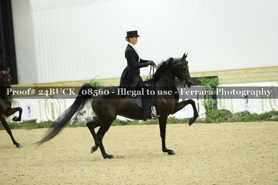 Proof 24BUCK_08560