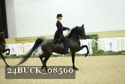 24BUCK_08560 proof