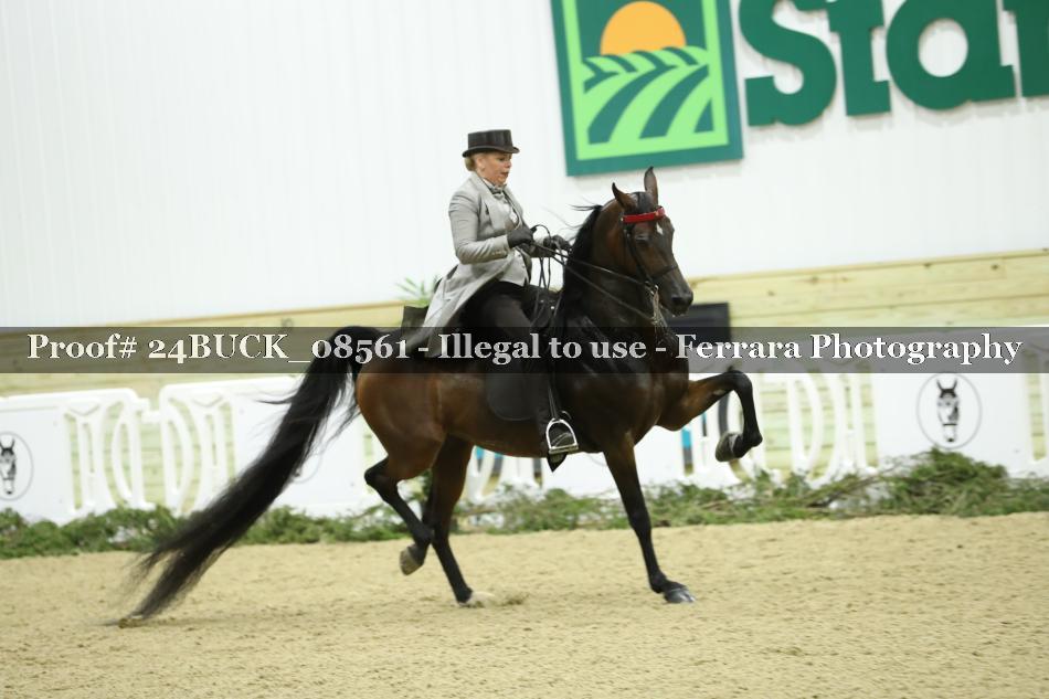 Proof 24BUCK_08561