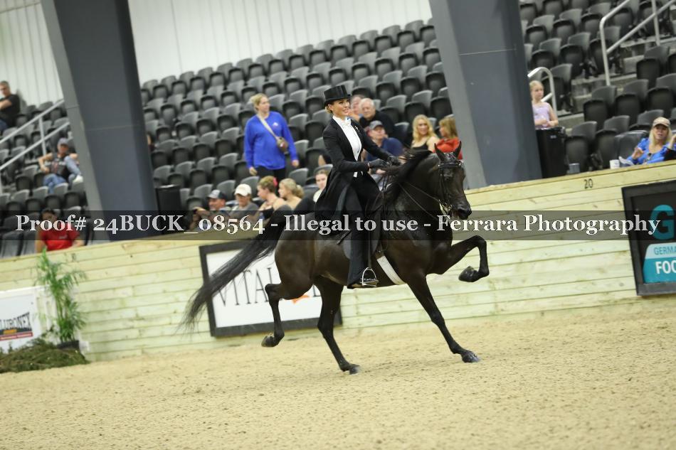Proof 24BUCK_08564
