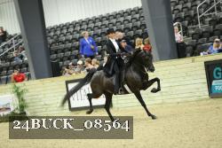 24BUCK_08564 proof