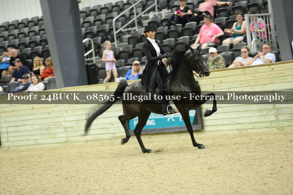 Proof 24BUCK_08565