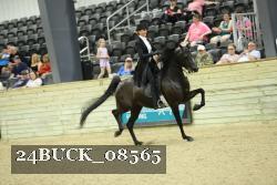 24BUCK_08565 proof