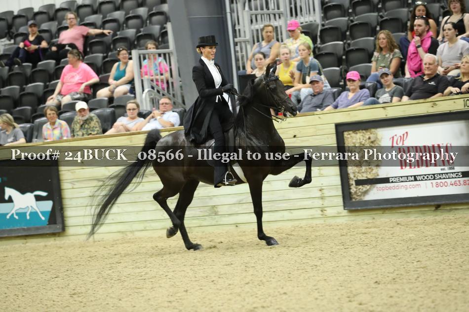 Proof 24BUCK_08566
