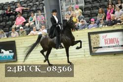 24BUCK_08566 proof