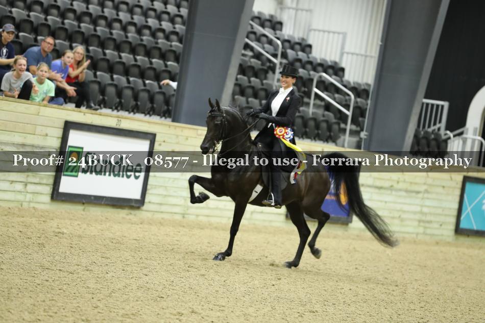 Proof 24BUCK_08577