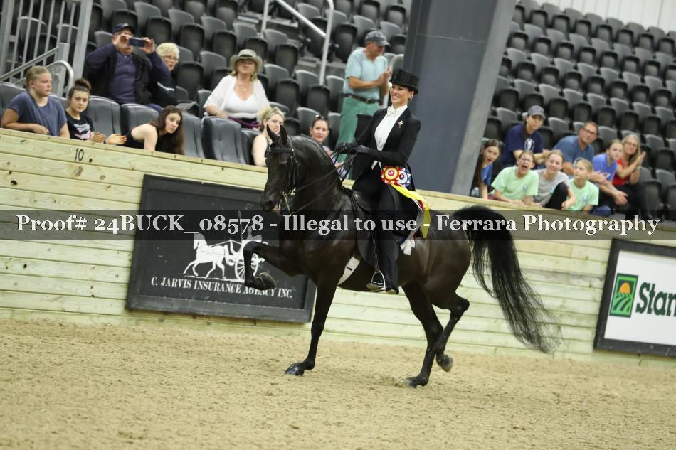 Proof 24BUCK_08578