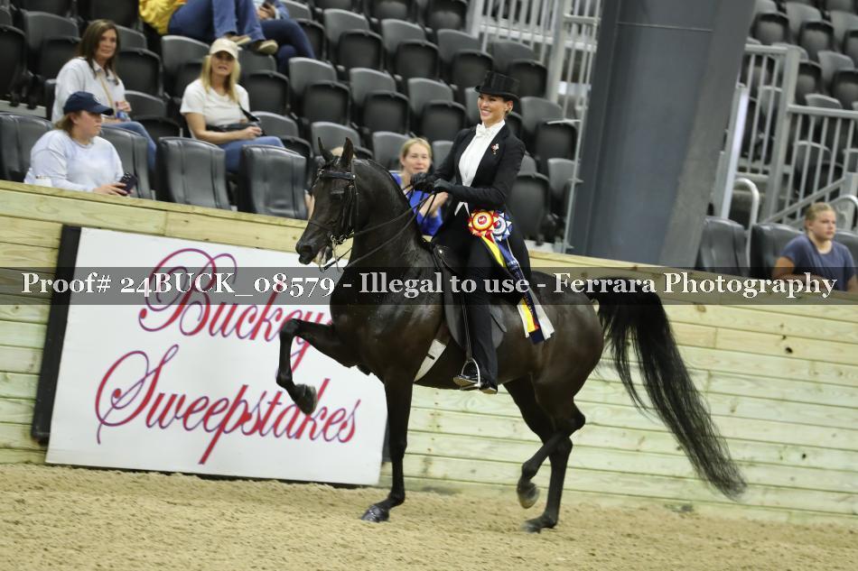 Proof 24BUCK_08579