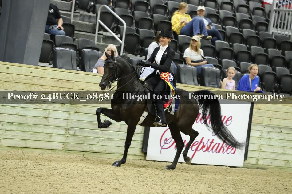 Proof 24BUCK_08581