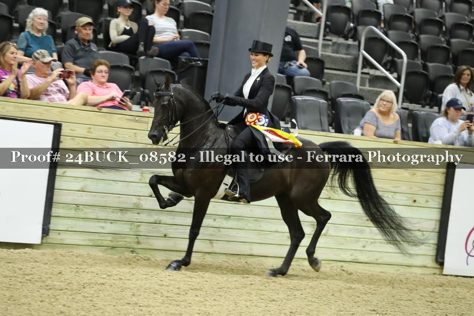 Proof 24BUCK_08582