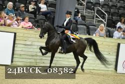 24BUCK_08582 proof