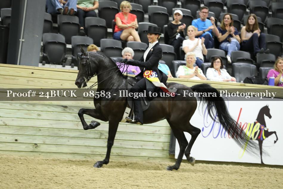 Proof 24BUCK_08583