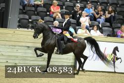 24BUCK_08583 proof