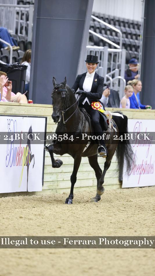 Proof 24BUCK_08584