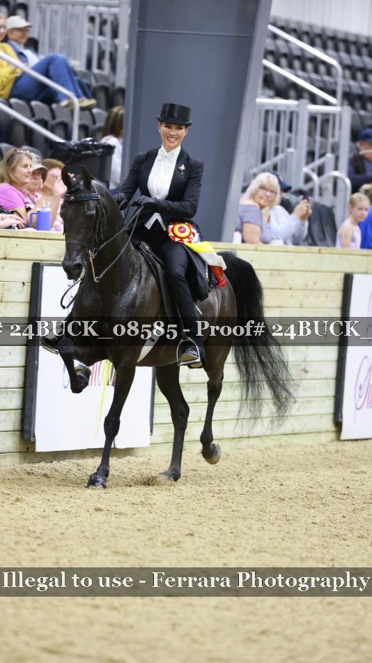 Proof 24BUCK_08585