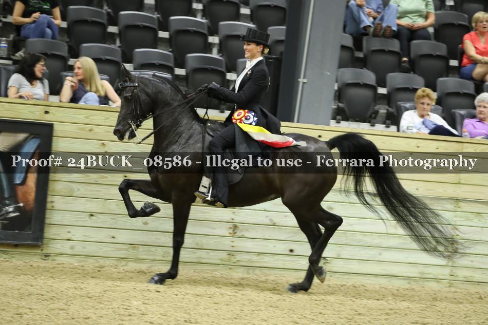 Proof 24BUCK_08586