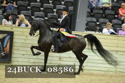 24BUCK_08586 proof