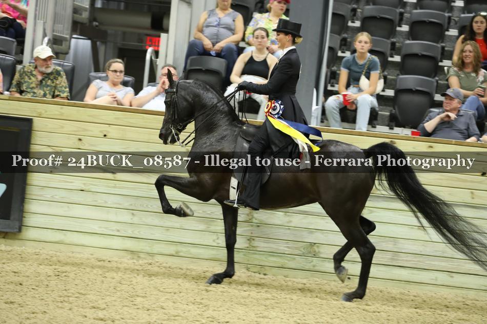 Proof 24BUCK_08587