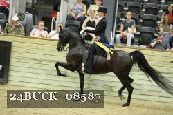 24BUCK_08587 proof