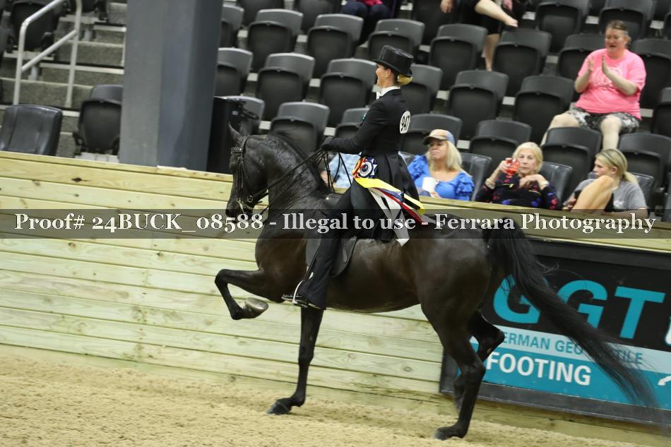Proof 24BUCK_08588