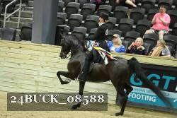 24BUCK_08588 proof