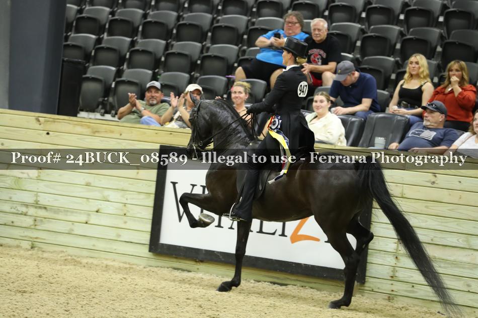 Proof 24BUCK_08589