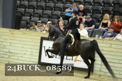 24BUCK_08589 proof