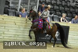 24BUCK_08593 proof