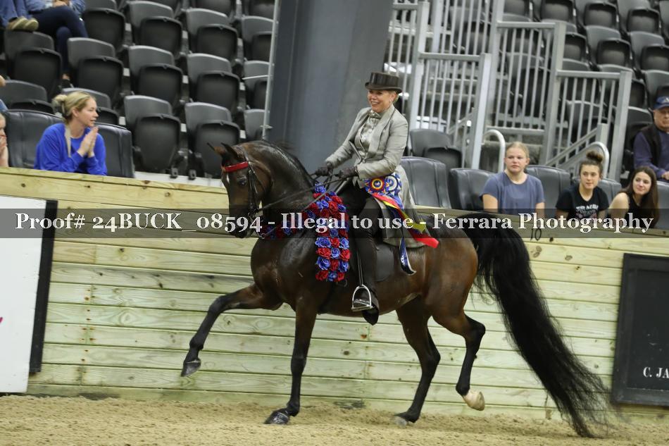Proof 24BUCK_08594