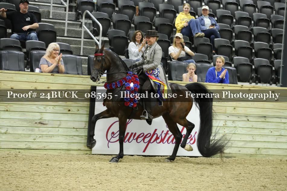 Proof 24BUCK_08595