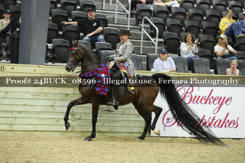 Proof 24BUCK_08596