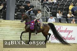 24BUCK_08596 proof