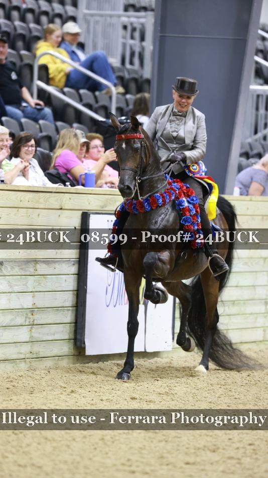 Proof 24BUCK_08599