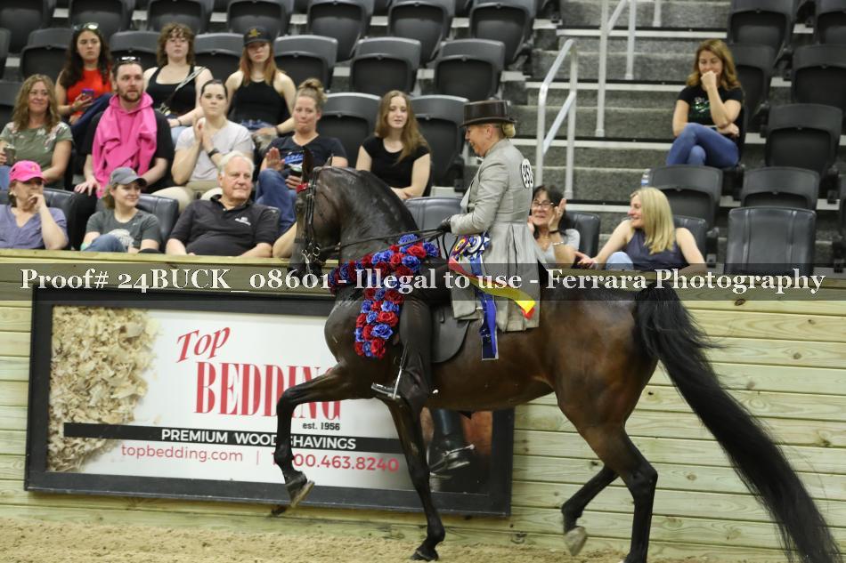 Proof 24BUCK_08601