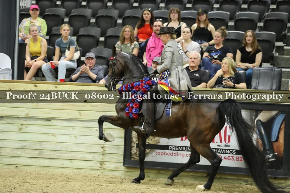 Proof 24BUCK_08602
