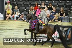 24BUCK_08602 proof