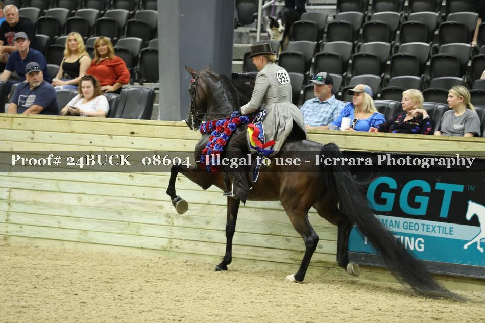 Proof 24BUCK_08604