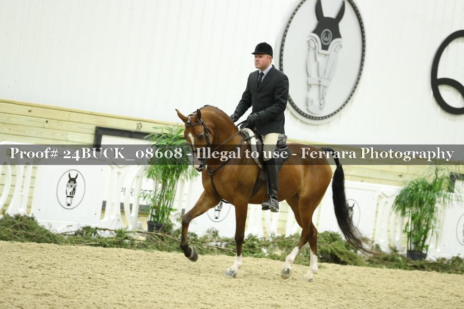 Proof 24BUCK_08608