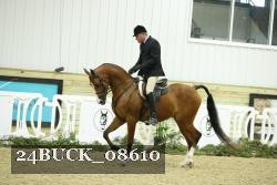 24BUCK_08610 proof