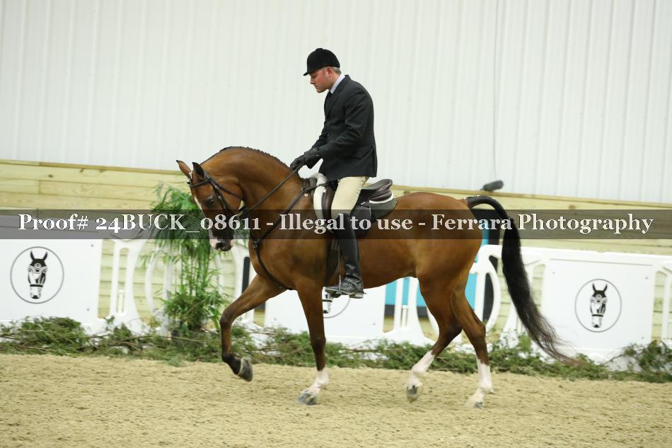 Proof 24BUCK_08611