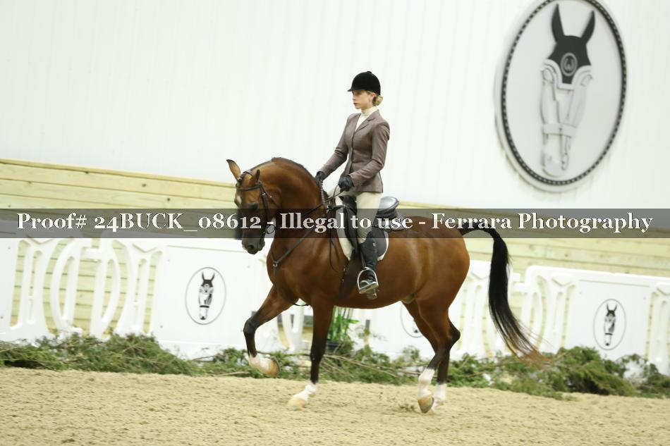 Proof 24BUCK_08612