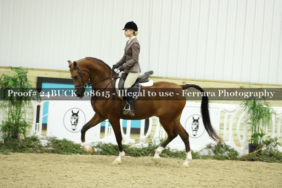 Proof 24BUCK_08615