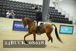 24BUCK_08618 proof